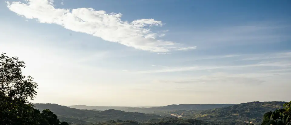 Lomas verdes bajo un cielo despejado